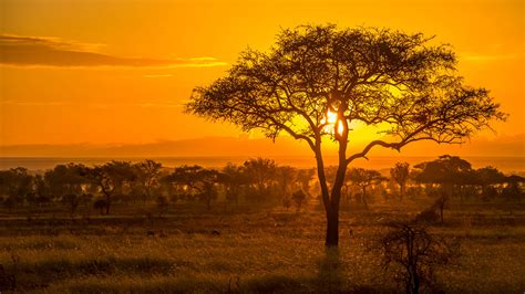 Tanzania .